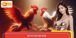 Đá Gà Cựa Dao RS88 – Kịch Tính, Tỷ Lệ Thưởng Hậu Hĩnh