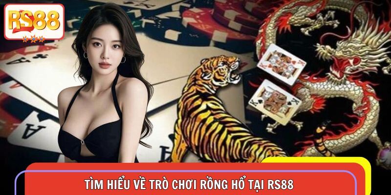 Giới thiệu những thông tin chi tiết liên quan rồng hổ RS88