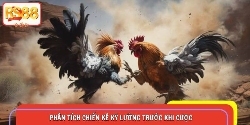 Hội viên cần phân tích chiến kê kỹ lưỡng trước khi cược