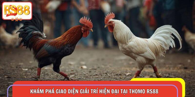 Khám phá giao diện giải trí hiện đại tại Thomo RS88