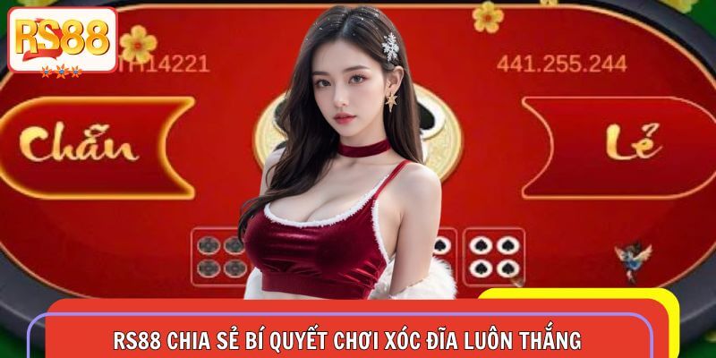 RS88 chia sẻ cách chơi xóc đĩa qua những kinh nghiệm tuyệt vời