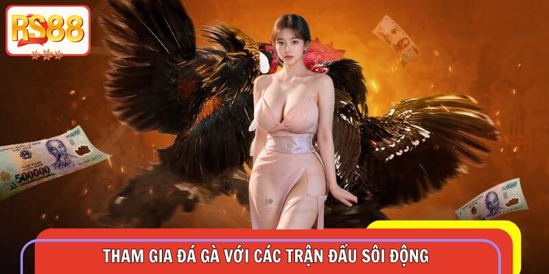 Tham gia đá gà với các trận đấu sôi động