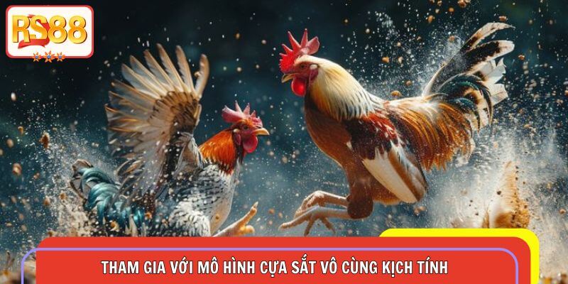 Tham gia với mô hình cựa sắt vô cùng kịch tính