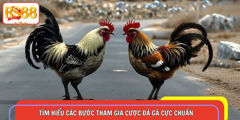 Tìm hiểu các bước tham gia cược đá gà cực chuẩn