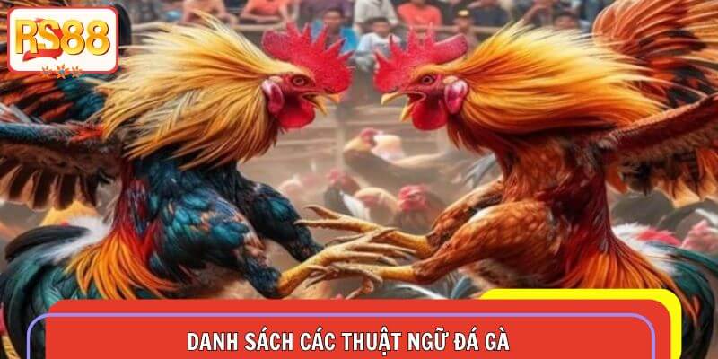 Tổng hợp danh sách các thuật ngữ thường gặp trong đá gà