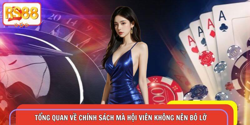 Tổng quan thông tin về chính sách mà hội viên không nên bỏ lỡ