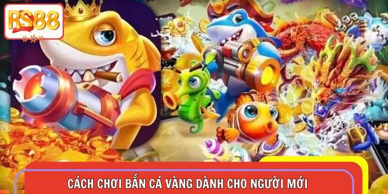 Quy trình chơi bắn cá vàng dành cho hội viên của RS88